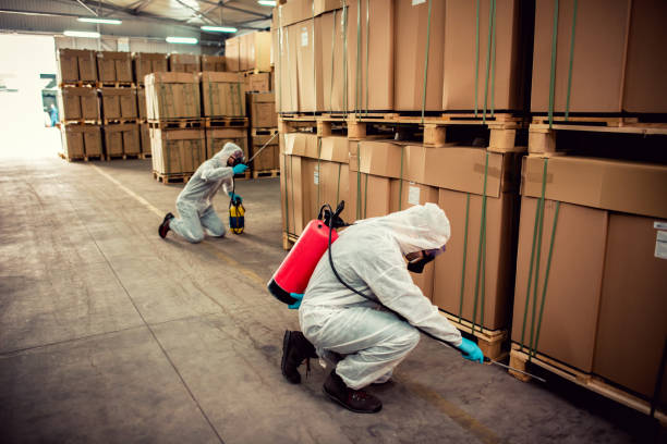 Best Exterminator Services  in Desnso, CA