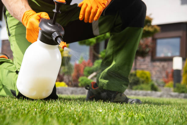 Best Affordable Pest Control Services  in Desnso, CA