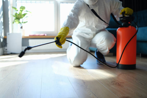 Flea Control Services in Descanso, CA