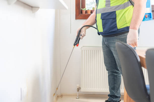 Best Cockroach Control Services  in Desnso, CA