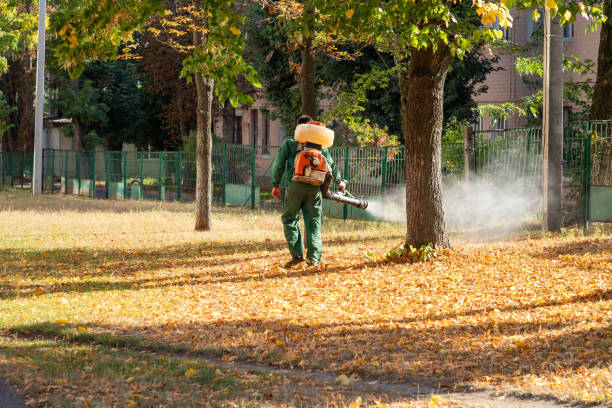 Best Wasp Removal Services  in Desnso, CA