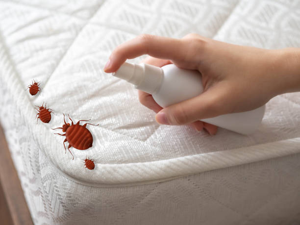 Best Commercial Pest Control Services  in Desnso, CA