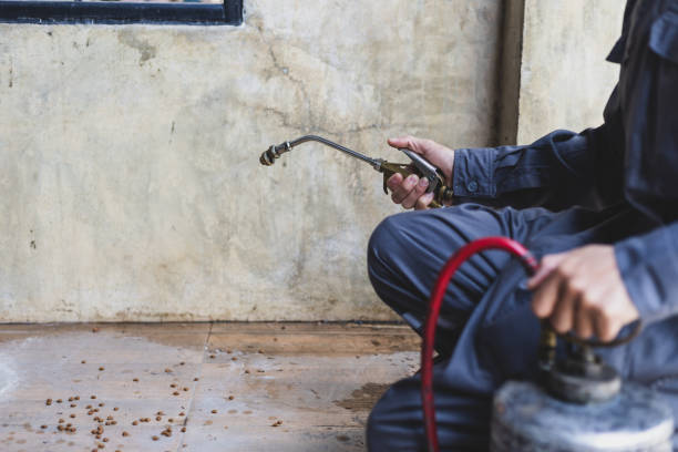 Best Residential Pest Control  in Desnso, CA